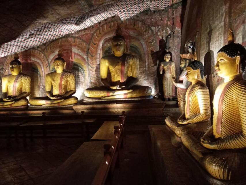 Restwell Homestay Dambulla Eksteriør billede